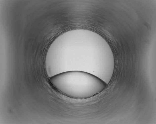 X0000111200039200907011039
