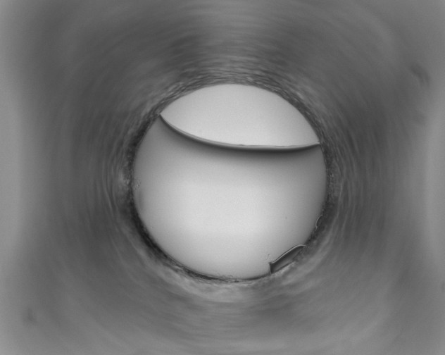 X0000111200040200907011039
