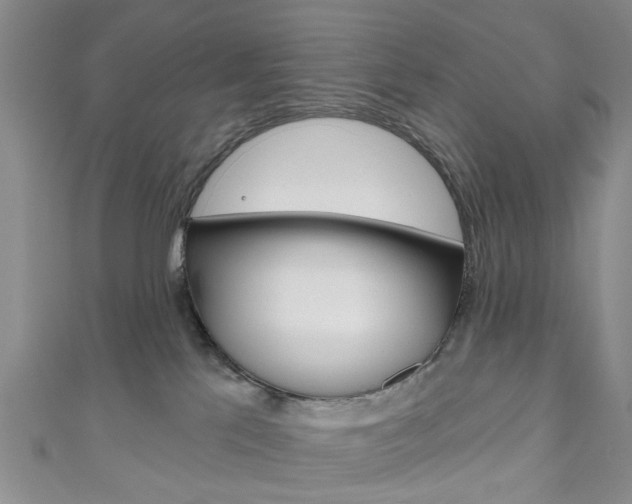X0000111200041200907011039