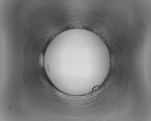 X0000111200042200907011039