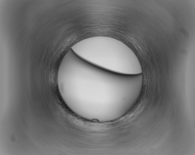 X0000111200044200907011039