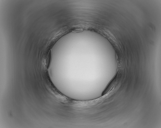 X0000111200045200907011039