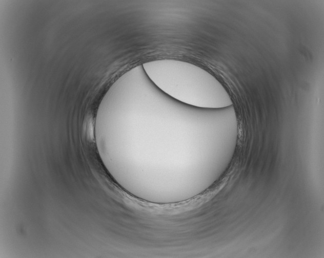 X0000111200046200907011039