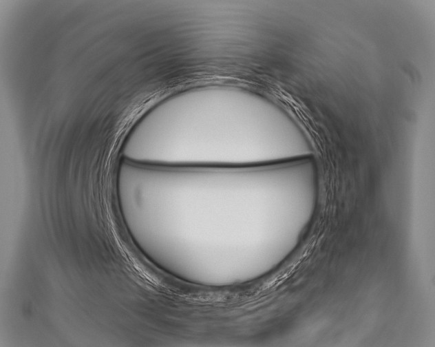 X0000111200049200907011038