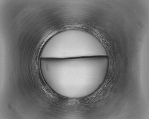 X0000111200050200907011038