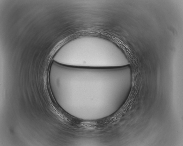 X0000111200051200907011038