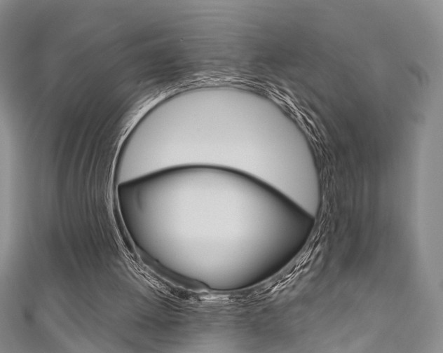 X0000111200052200907011038