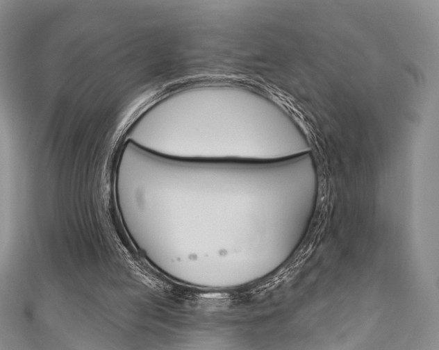 X0000111200053200907011038