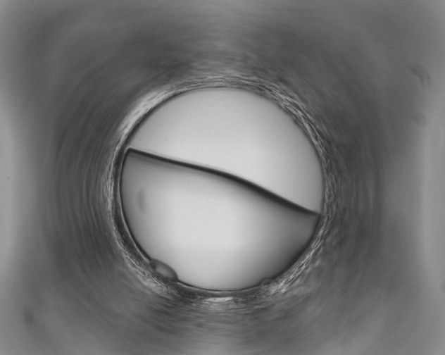 X0000111200054200907011038
