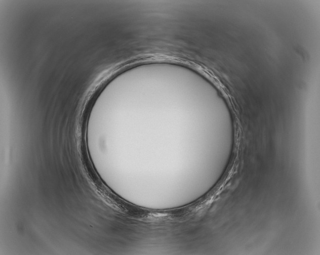 X0000111200055200907011038