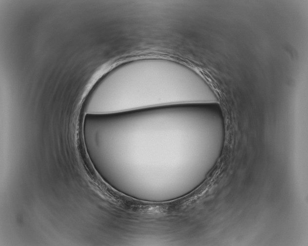 X0000111200056200907011038