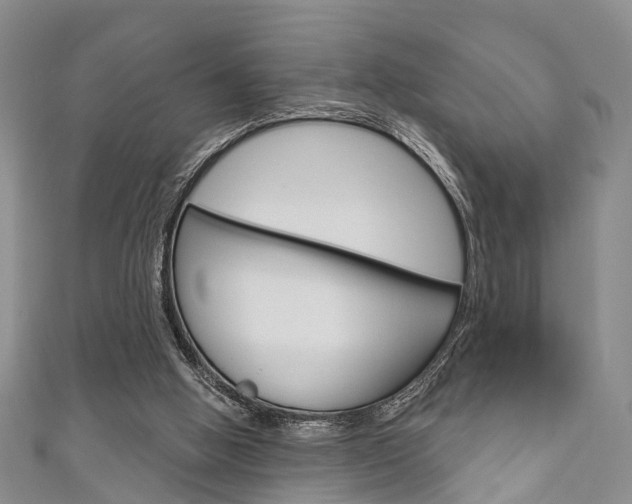 X0000111200058200907011038