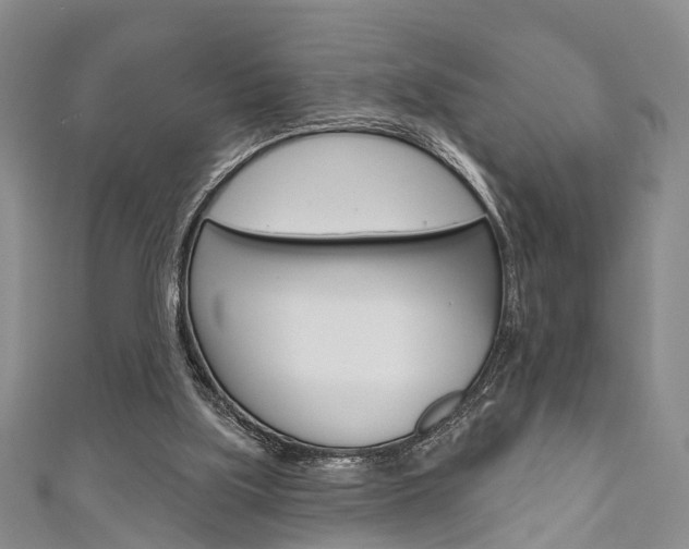 X0000111200059200907011038