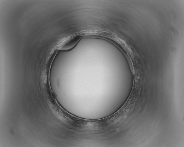 X0000111200060200907011038