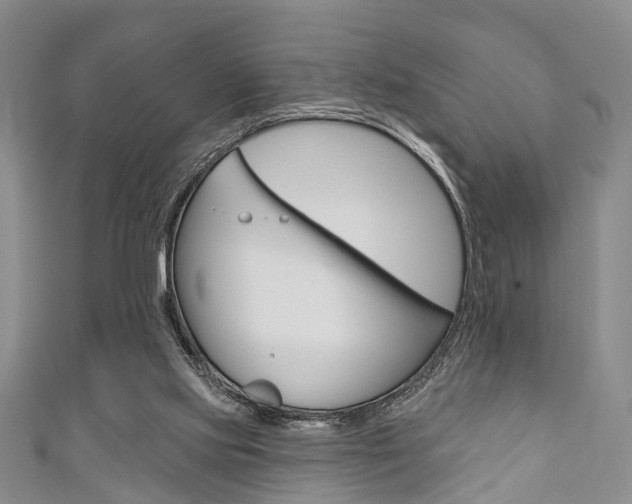 X0000111200061200907011038