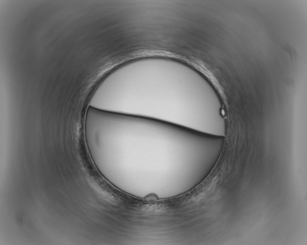 X0000111200063200907011038