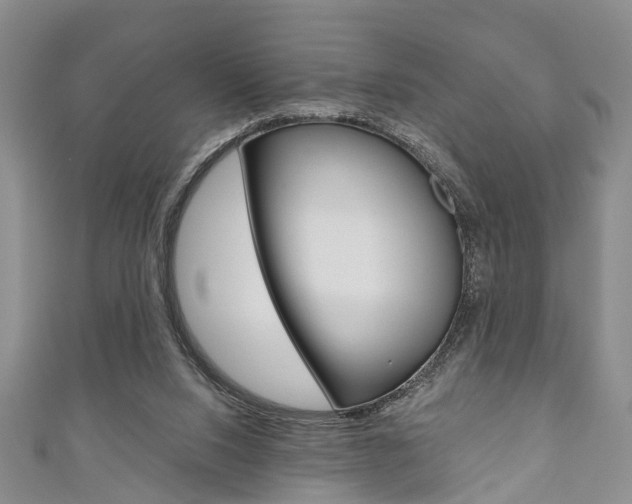 X0000111200064200907011038