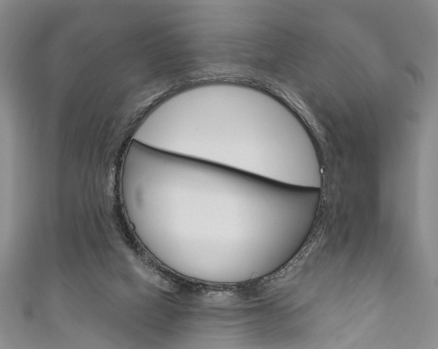 X0000111200066200907011038