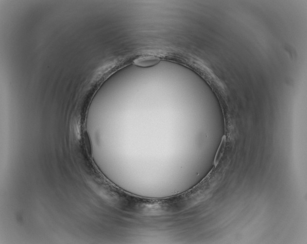 X0000111200068200907011039