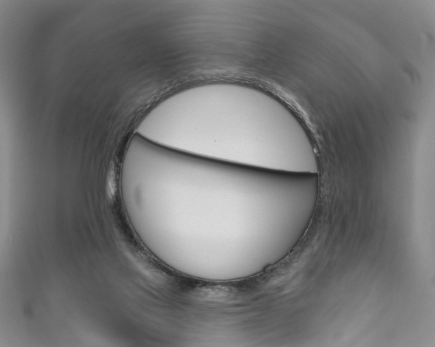 X0000111200069200907011039