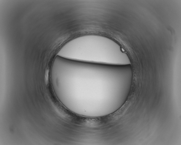 X0000111200070200907011039