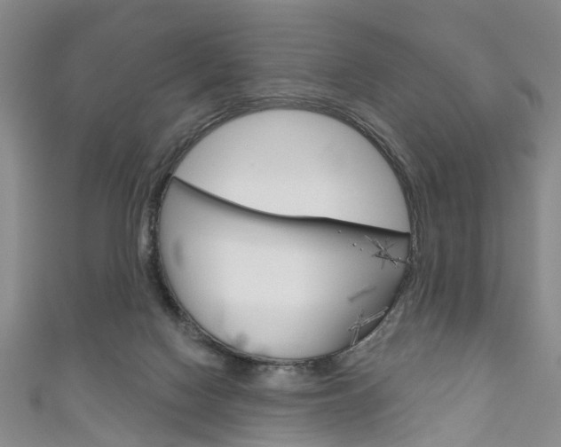 X0000111200074200907011039