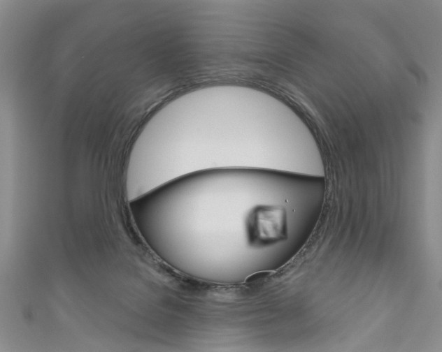 X0000111200076200907011039