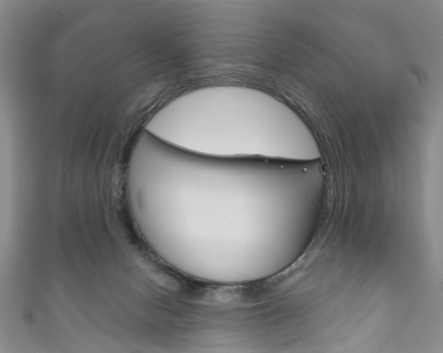 X0000111200078200907011039
