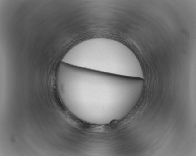 X0000111200083200907011039