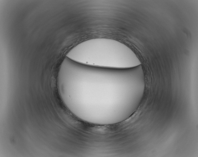 X0000111200086200907011039