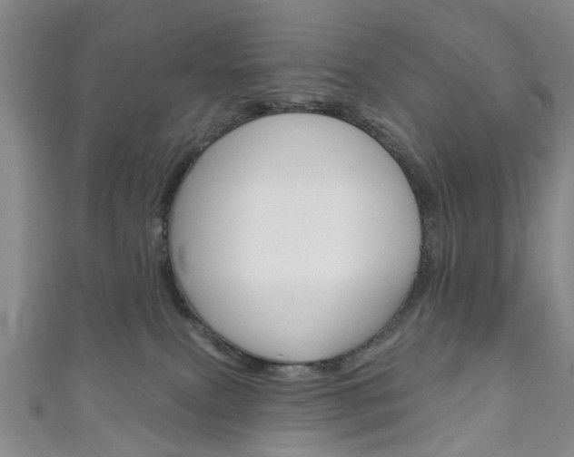 X0000111200087200907011039