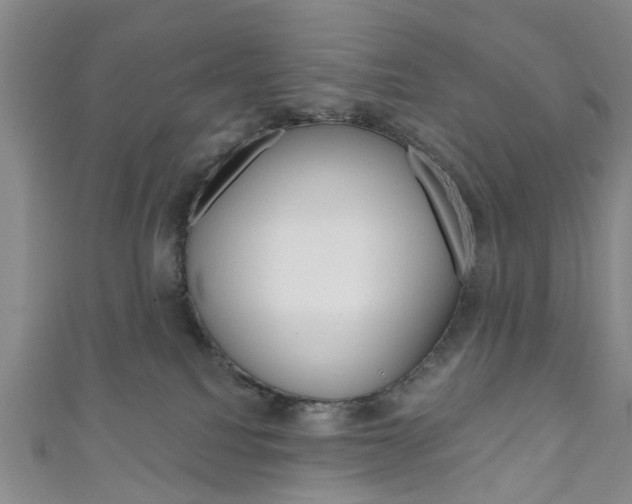 X0000111200088200907011039