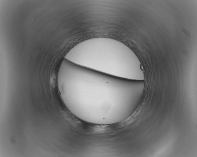 X0000111200090200907011039