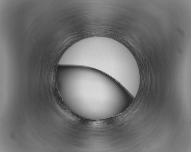 X0000111200092200907011039