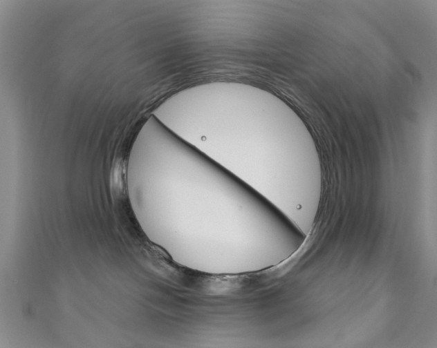 X0000111200094200907011039