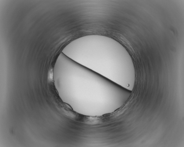 X0000111200095200907011039