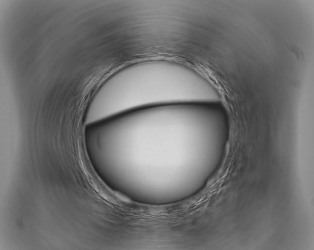 X0000111200097200907011038