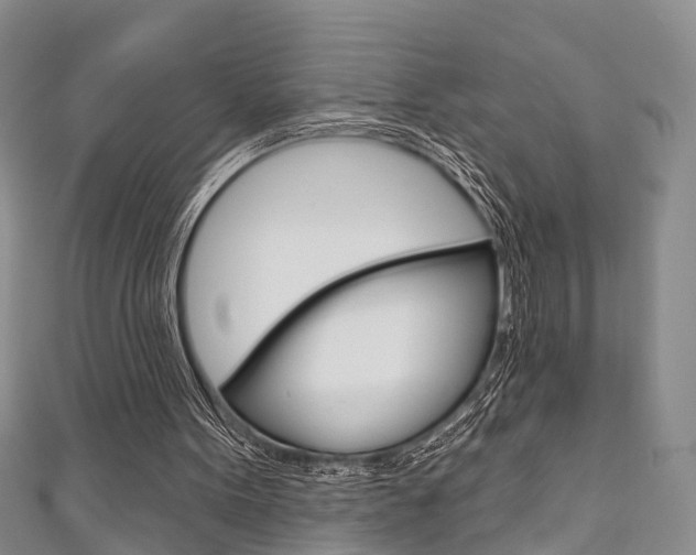 X0000111200099200907011038