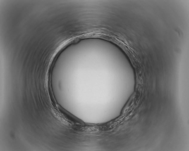 X0000111200100200907011038