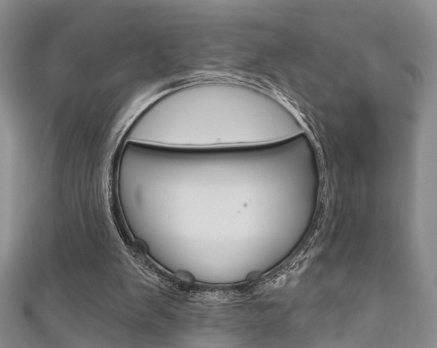 X0000111200103200907011038