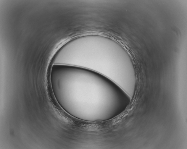 X0000111200104200907011038
