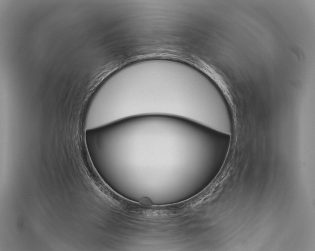 X0000111200105200907011038