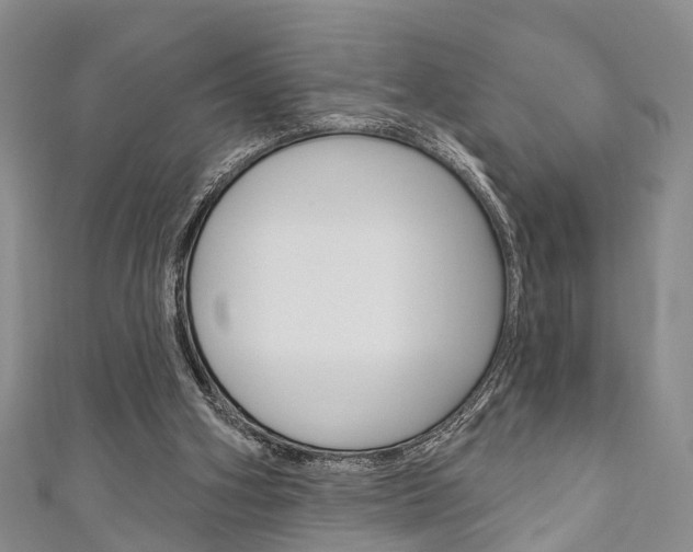 X0000111200106200907011038