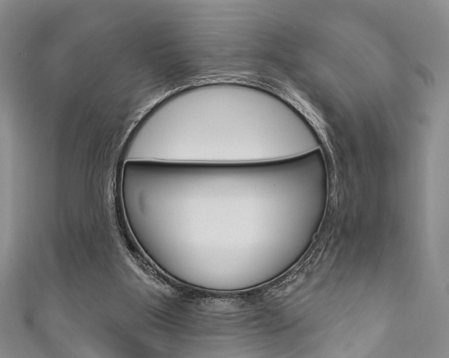 X0000111200107200907011038