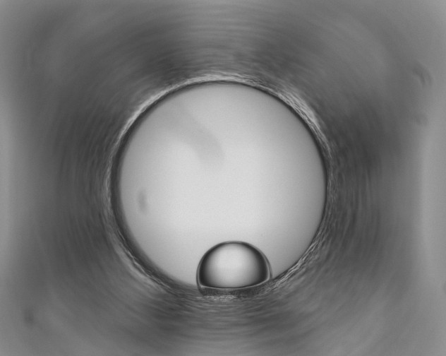 X0000111200108200907011038