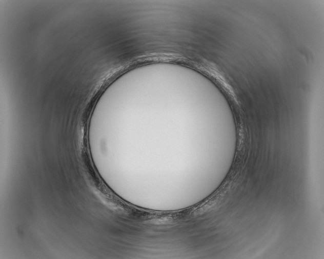 X0000111200110200907011038