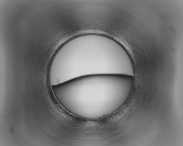 X0000111200111200907011038