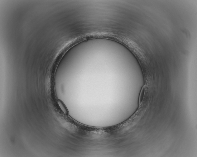 X0000111200112200907011038