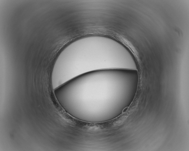 X0000111200113200907011038