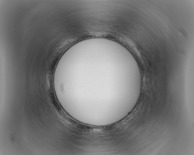 X0000111200114200907011038
